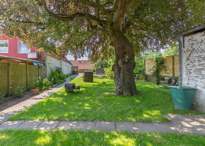 Buchenheinrich Ellis Groot Stuuv * Garding